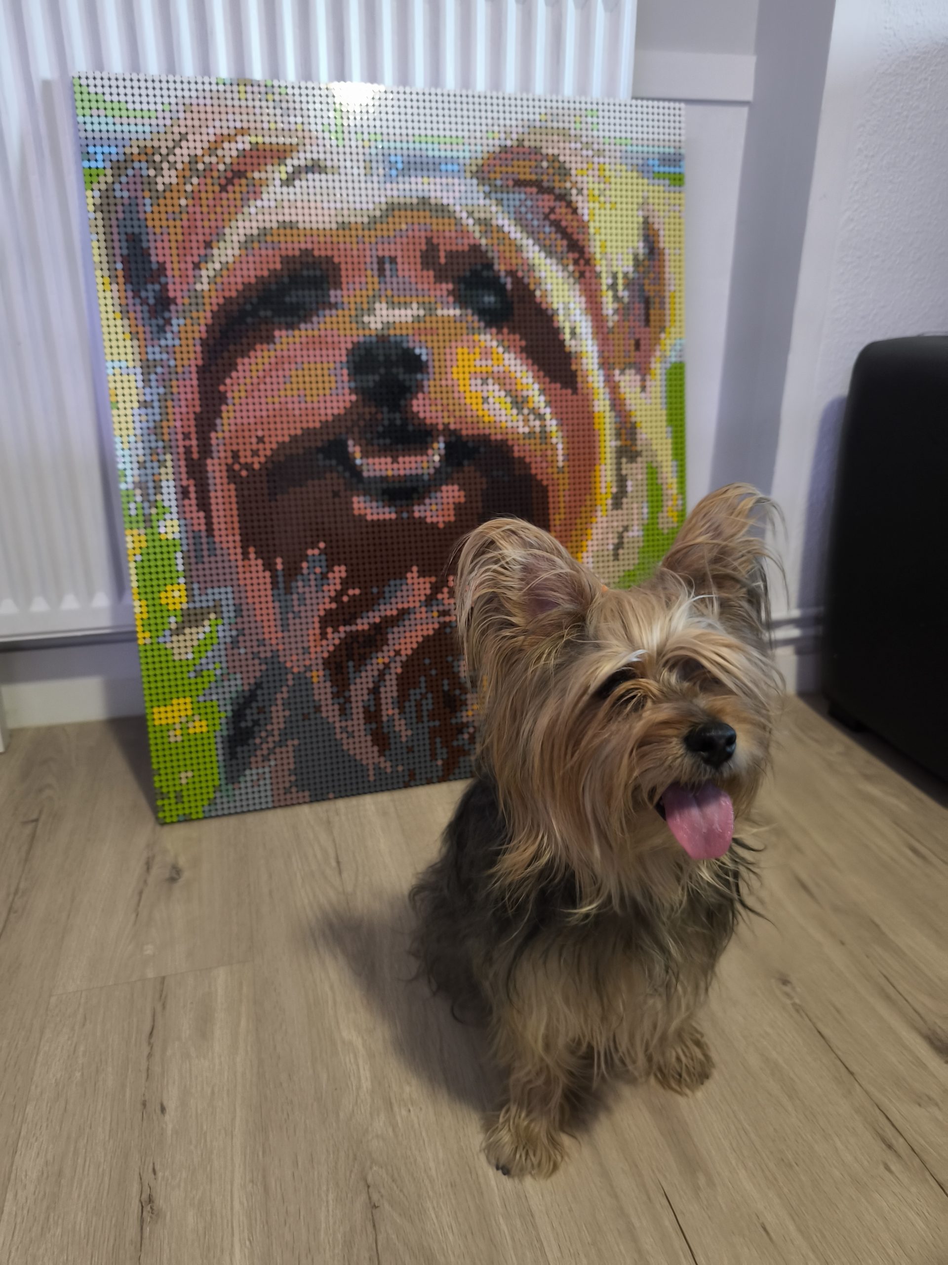 Cuadros perro bricks