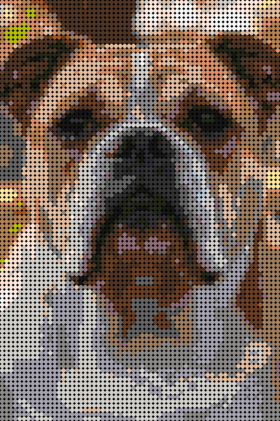 Cuadro perro Bulldog